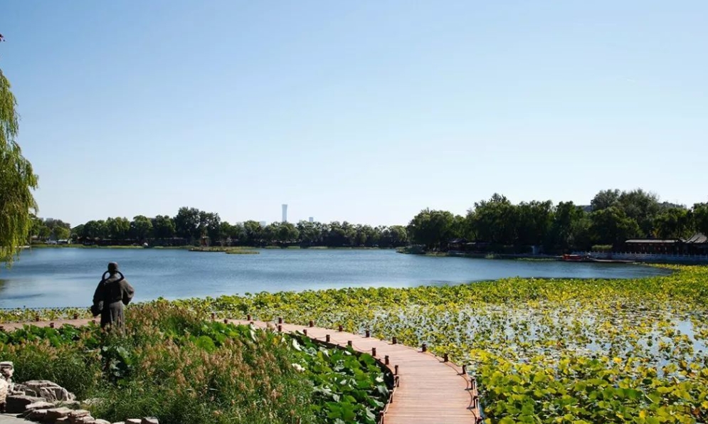 山東鄒城太平國家濕地公園濕地保護(hù)修復(fù)項目 